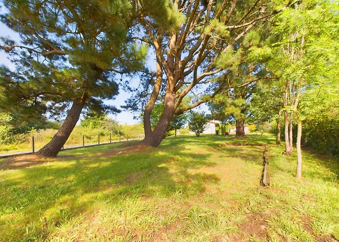 Sur Mer- Grande Maison Pour 9- 4 Prázdninový dům Brem Sur Mer